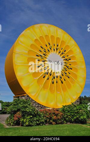 The Kiwi360 giant kiwifruit sign, Te Puke, Bay of Plenty Region, North ...