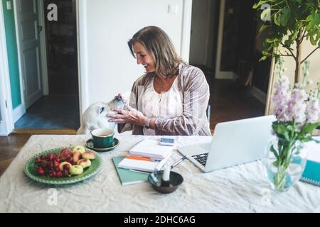 Smiling senior woman touching dog while working at table from home Stock Photo