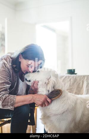 Animal loving senior woman kissing small dog as pet at home Stock Photo ...