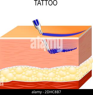 layers of skin diagram tattoo