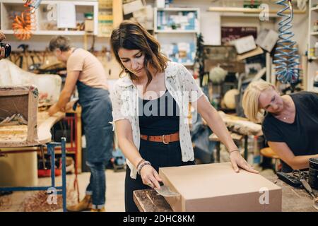 Woman Working in Upholstery Workshop with Webbing Stretcher. Stock Image -  Image of iron, construction: 200441683