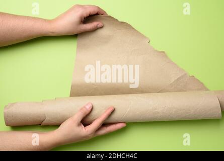 Two female hands hold rolled brown paper, green background Stock Photo