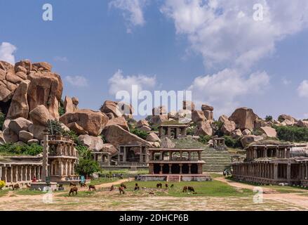 Hampi, Karnataka, India - November 4, 2013: Nandi Monolith Statue temple and area. Landscape around with multiple ruins and brown cattle grazing in fr Stock Photo