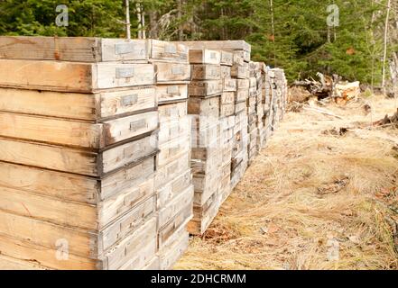 mining core samples from test drilling rigs Stock Photo