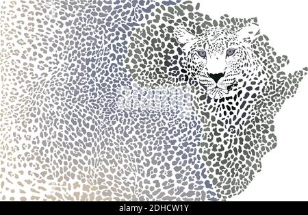 African leopard - Background of the continent map Stock Vector