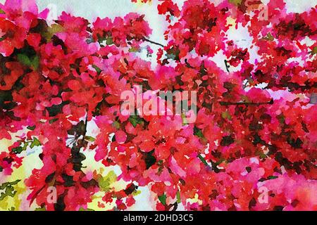 digital watercolor illustration of the flowering branch of a weeping cherry blossom tree in bright pink and red colors Stock Photo