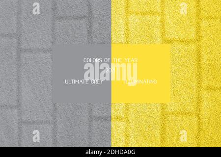 Yellow grass background with a brick wall texture. Trendy colors of year 2021. Stock Photo