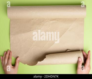 Two female hands hold rolled brown paper, green background Stock Photo