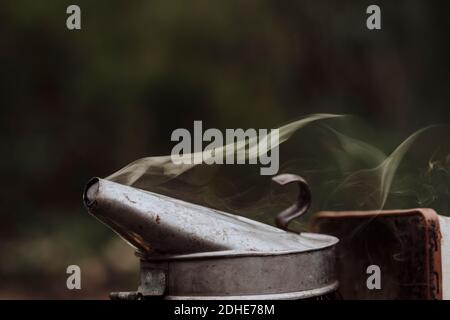 Apiarist tools in a blur background Stock Photo