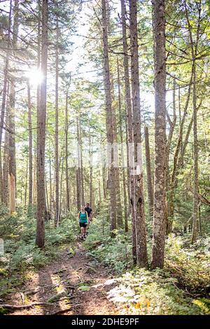 Young couple walk through forest on Appalachian Trail in Maine Stock Photo