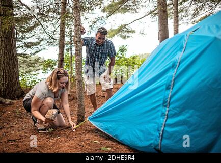 Multi racial couple smile and laugh while setting up blue tent, Maine Stock Photo