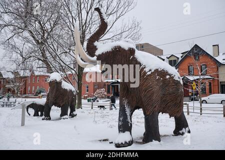 Statue of a woolly Mammoth family covered in snow in park next to Museum of nature in Ottawa Stock Photo