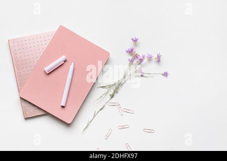 Notebooks with pen on light background Stock Photo