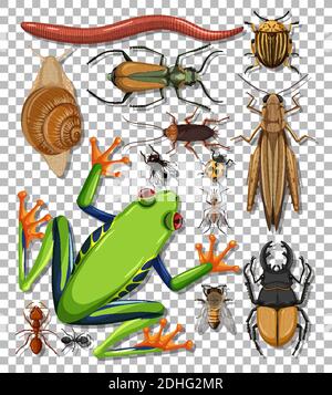Set of different insects on transparent background illustration Stock Vector