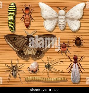 Set of different insects on wooden wallpaper background illustration Stock Vector