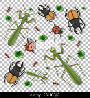 Set of different insects on transparent background illustration Stock Vector