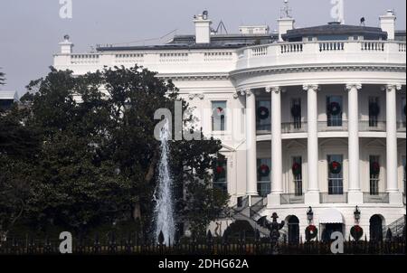 The historic Jackson Magnolia, planted on the south grounds of the White House is seen on December 30, 2017 in Washington, DC. The tree taht is in poor health and is in danger of falling was trimmed back on Wednesday.. Photo by Olivier Douliery/Abaca Press Stock Photo