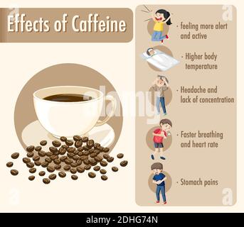 Effects of caffeine information infographic illustration