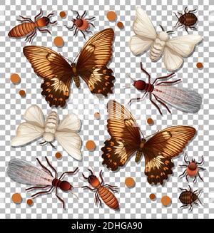 Set of different insects on transparent background illustration Stock Vector
