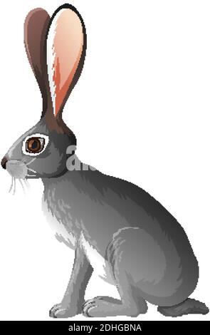 Jackrabbit isolated on white background illustration Stock Vector