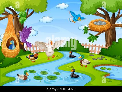 Stream in the forest scene with many birds illustration Stock Vector