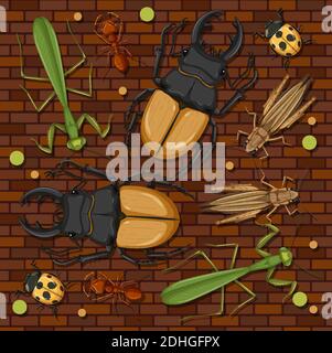 Set of different insects in wooden frame background Stock Vector Image ...