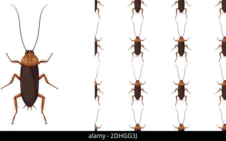 Cockroach isolated on white background and seamless illustration Stock Vector