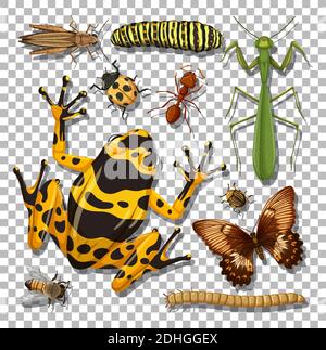 Set of different insects on transparent background illustration Stock Vector