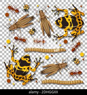 Set of different insects on transparent background illustration Stock Vector