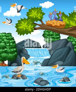 Many brown pelicans in the waterfall scene illustration Stock Vector