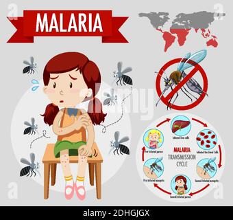 Malaria symptom information infographic illustration Stock Vector