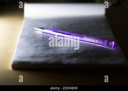 Top view of pen on open notebook with blank pages, blurred background. Stock Photo