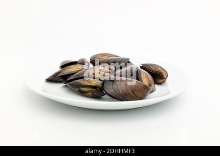 Mussel shells on white background Stock Photo
