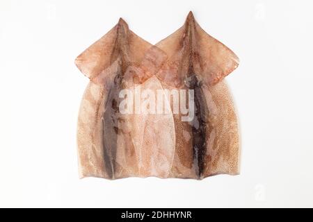 Trimmed squid on white background Stock Photo