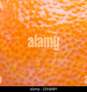 Surface of a tangerine in detail Stock Photo