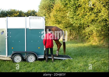 Man with his Selle Francais Horse entering into a Horse trailer Stock Photo