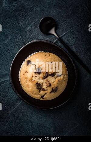 Fresh chocolate chip muffin Stock Photo
