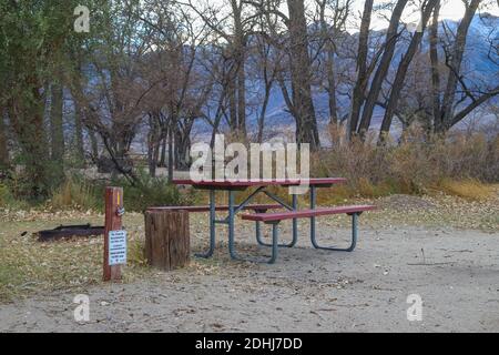 INDEPENDENCE, CALIFORNIA, UNITED STATES - Dec 06, 2020: A picnic table and fire ring are part of a camp site nestled into the trees at Taboose Creek C Stock Photo