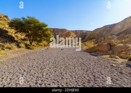 View of the Nahal Shani (desert valley, near the Red Canyon). Eilat Mountains, southern Israel. Stock Photo