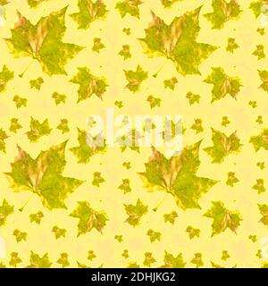 shades of green  Autumnal seamless pattern with large autumn leaves in bright vibrant colours  ideal for stationery and fabrics ,  on a pretty cream a Stock Photo