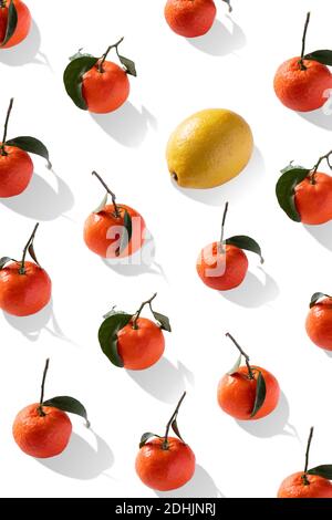 Top view composition with fresh yellow lemon placed amidst orange mandarins  with green leaves on white background Stock Photo