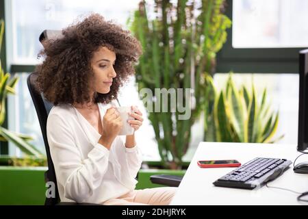 Side view of young ethnic businessWoman with afro hairstyle sitting at table with computer and drinking coffee while thinking about project in modern Stock Photo