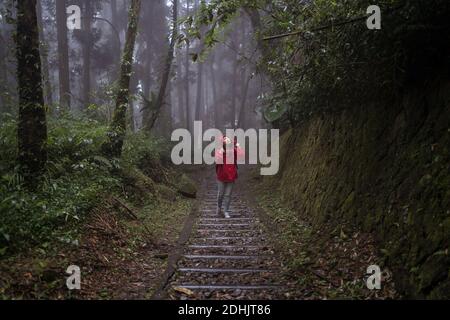 Full body of Asian female in raincoat climbing stairway and exploring nature while hiking through green forest in rainy day Stock Photo