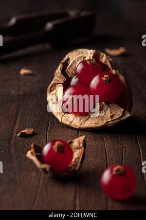 Still life composition with ripe red pomegranate seeds arranged in walnut shells on dark wooden background Stock Photo