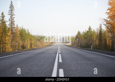 Ground level of straight empty road going through coniferous woods in autumn on sunny day Stock Photo