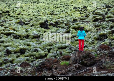 Eldhraun lava field, flow and ridge covered with green moss in Iceland Stock Photo