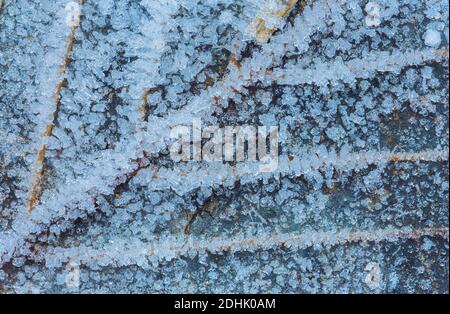 Frozen leaf with ice crystals, winter background Stock Photo