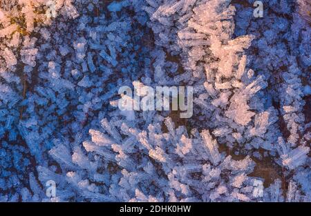 Frozen leaf with ice crystals, winter background Stock Photo