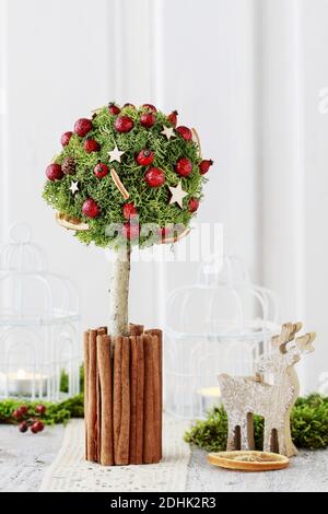 Christmas decoration in tree shape with moss, cinnamon sticks and rose hip. Festive time Stock Photo