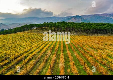 aerial photos for bekaa valley in Lebanon at autumn time Stock Photo